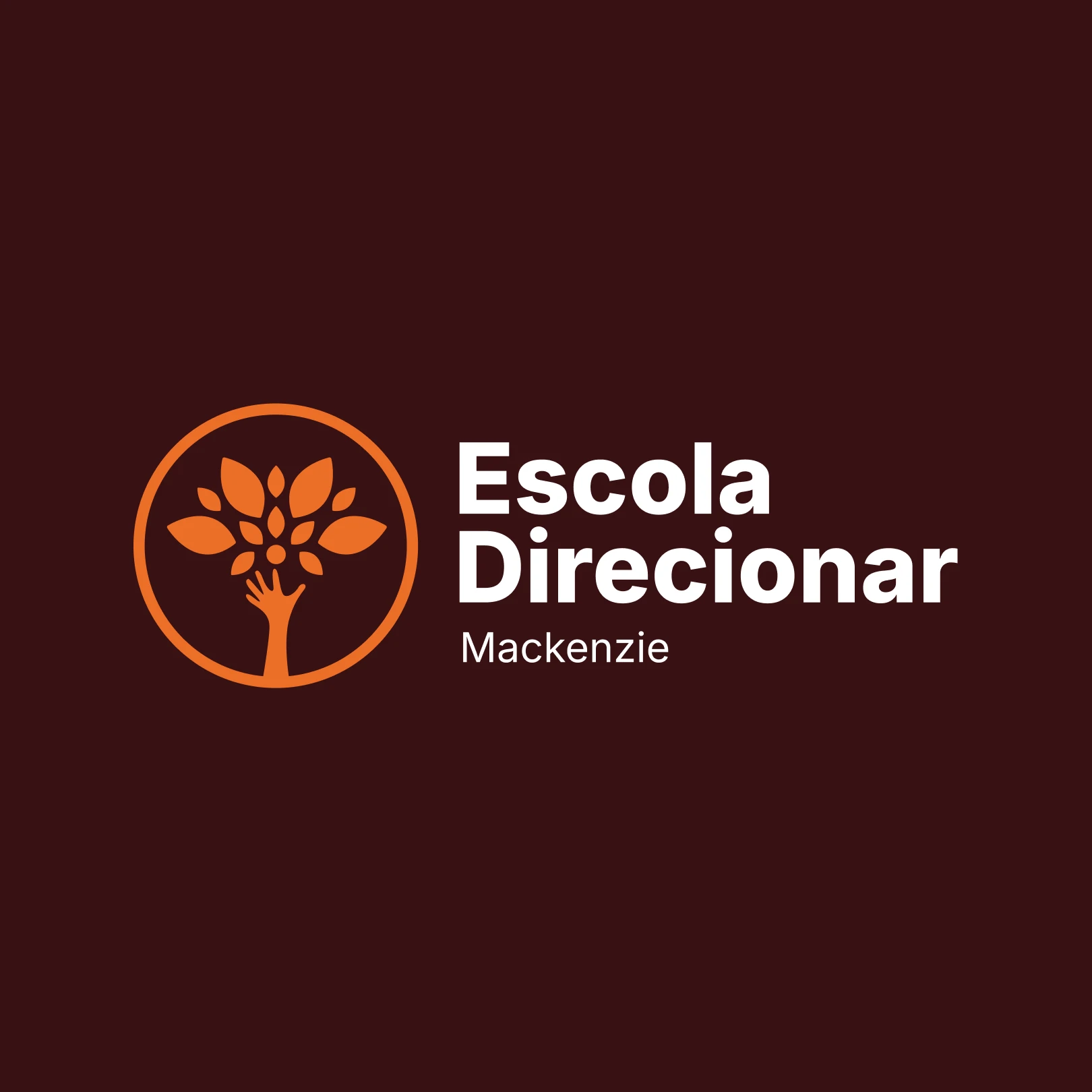 Escola Direcionar Educacao Infantil e Fundamental